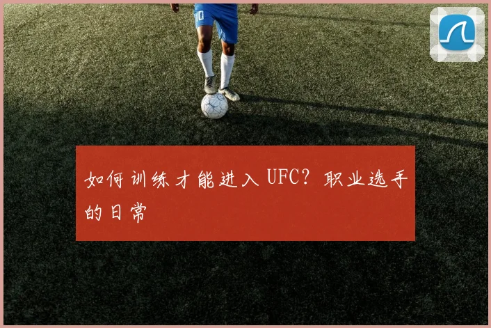 如何训练才能进入 UFC？职业选手的日常