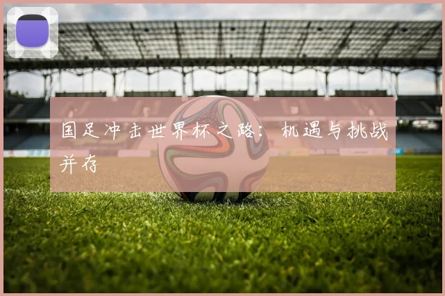 国足冲击世界杯之路：机遇与挑战并存