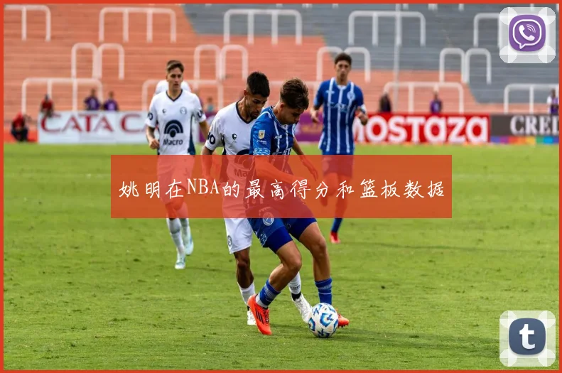 姚明在NBA的最高得分和篮板数据