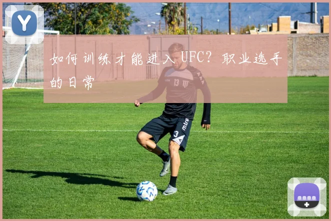 如何训练才能进入 UFC？职业选手的日常