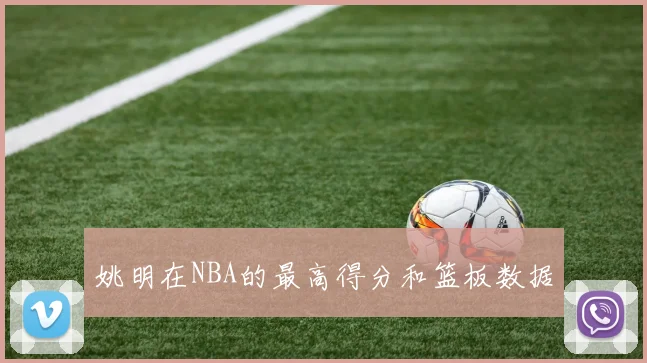 姚明在NBA的最高得分和篮板数据