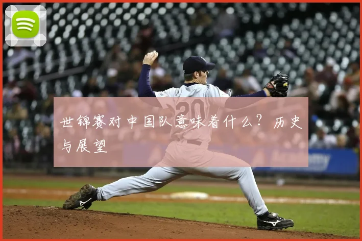 世锦赛对中国队意味着什么？历史与展望