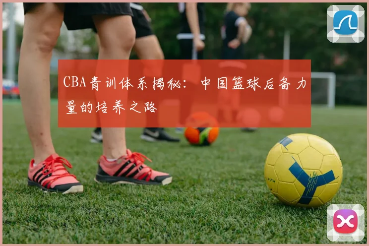 CBA青训体系揭秘:中国篮球后备力量的培养之路